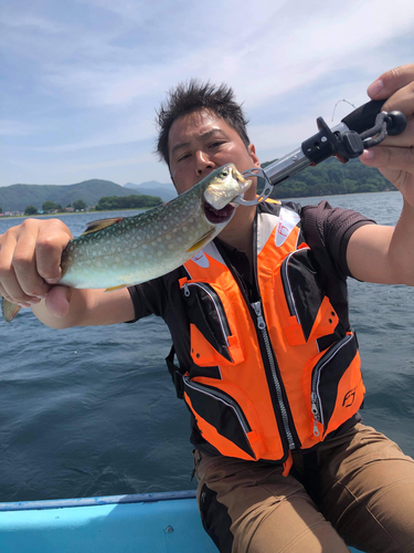 イワナの釣果