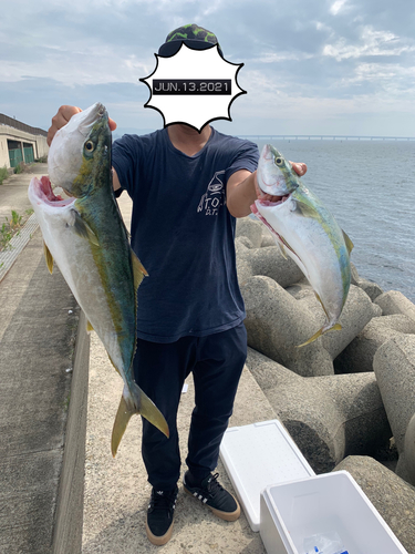 メジロの釣果