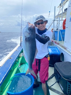 メダイの釣果