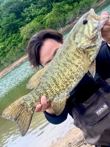 スモールマウスバスの釣果