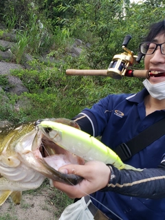 ブラックバスの釣果