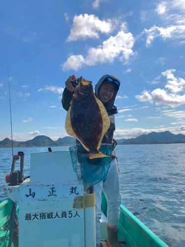 ヒラメの釣果