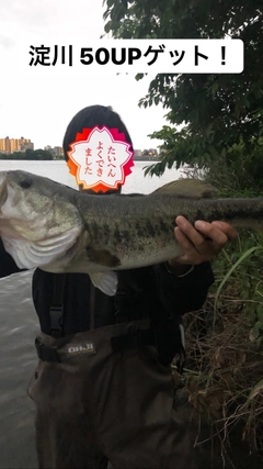 ブラックバスの釣果