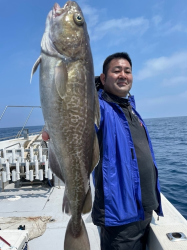 マダラの釣果