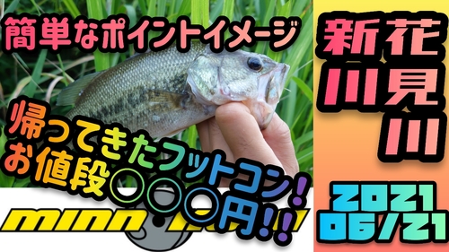 ブラックバスの釣果