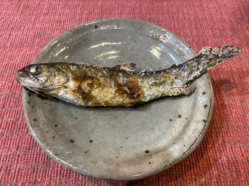 ニジマスの釣果