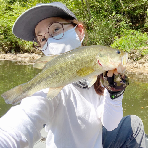 ブラックバスの釣果