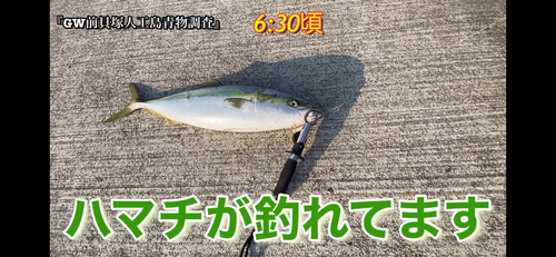 メジロの釣果