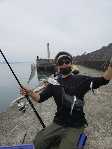 サバの釣果