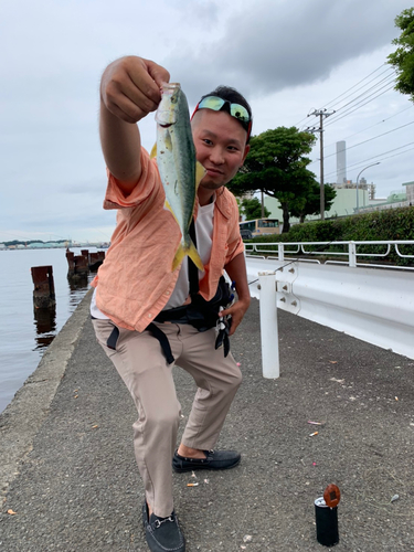 ショゴの釣果