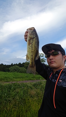 ブラックバスの釣果