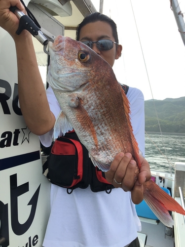 マダイの釣果