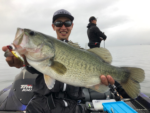 ラージマウスバスの釣果