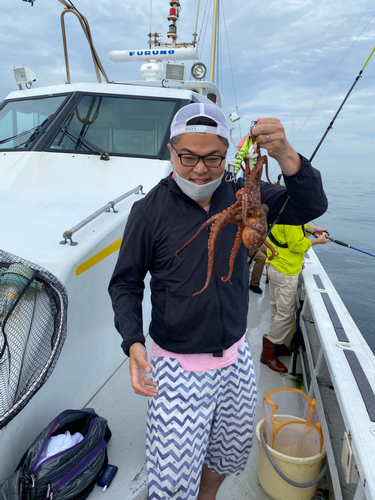 マダコの釣果