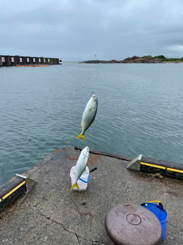 釣果