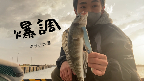 ホッケの釣果