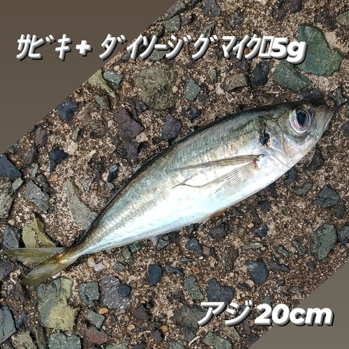 釣果