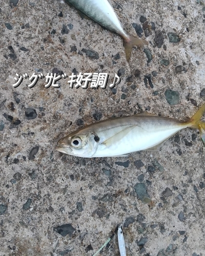 釣果