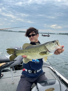 ブラックバスの釣果