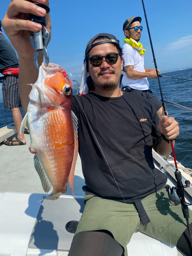 アマダイの釣果