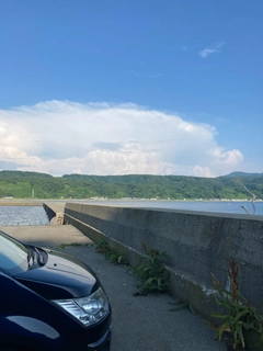 トビウオの釣果