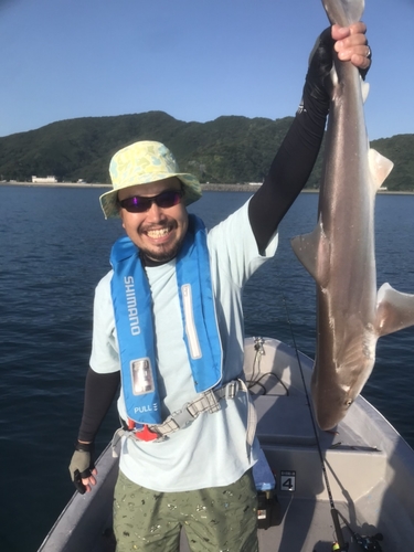 サメの釣果