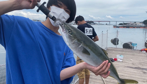 イナダの釣果