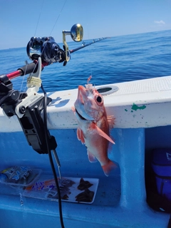 アカムツの釣果