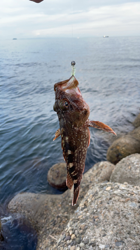 釣果