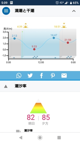 メバルの釣果