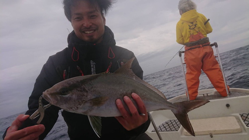 ショゴの釣果