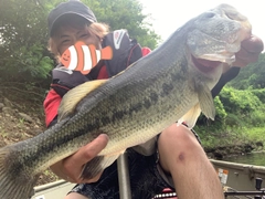 ブラックバスの釣果