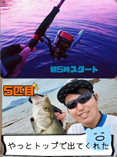 シーバスの釣果