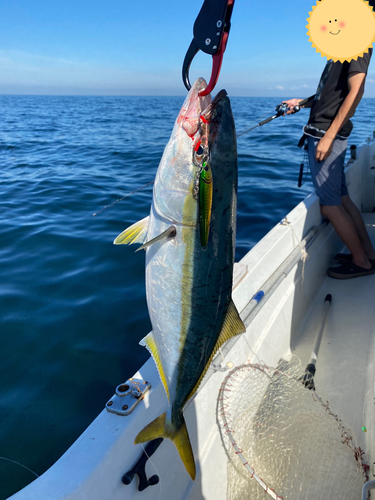 ハマチの釣果