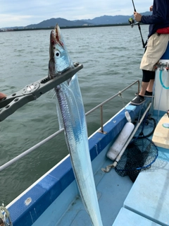 タチウオの釣果