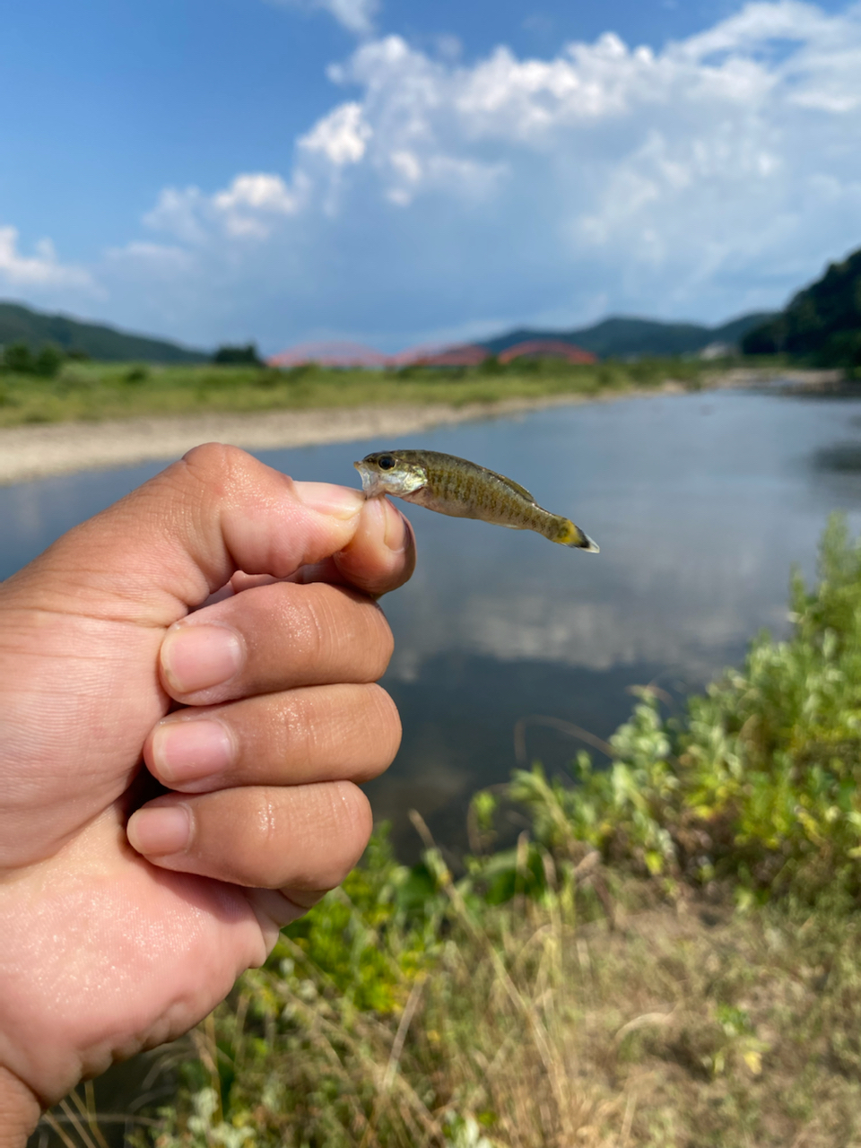 スモールマウスバス