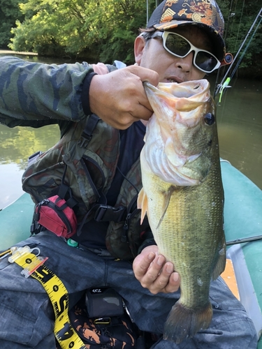 ブラックバスの釣果