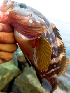 釣果