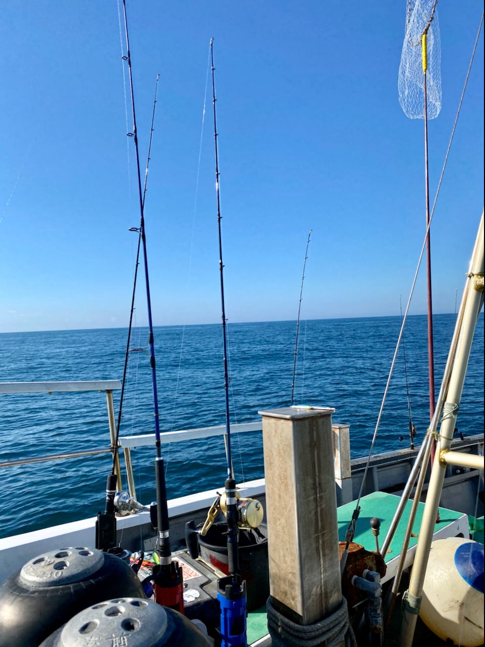 Faastiさんの釣果 2枚目の画像