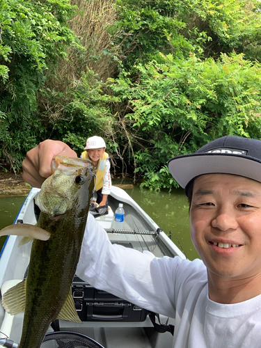 ブラックバスの釣果