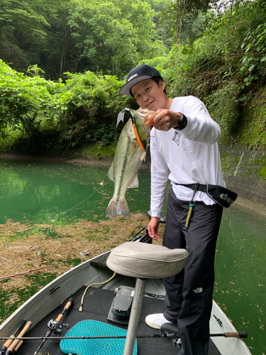 ブラックバスの釣果