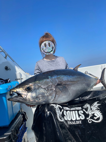 クロマグロの釣果