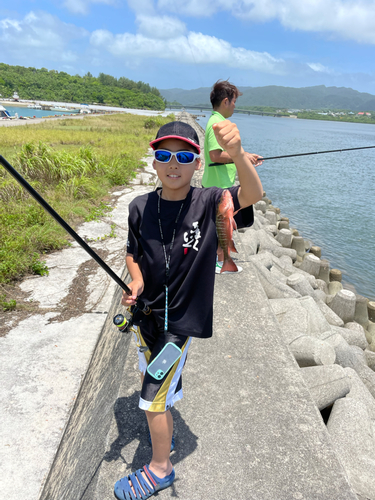 ゴマフエダイの釣果