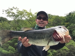 ブラックバスの釣果