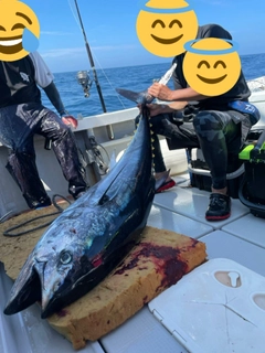 クロマグロの釣果