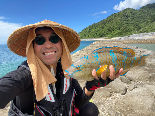 イラブチャーの釣果