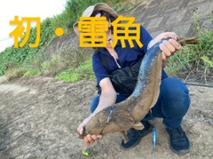 ライギョの釣果