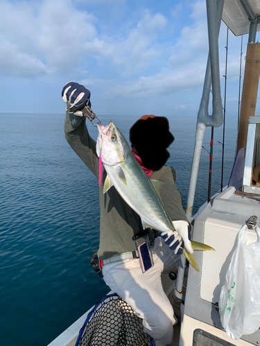 ワラサの釣果