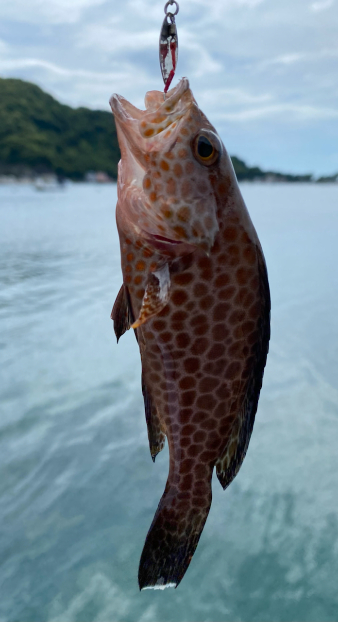 オヤビッチャ