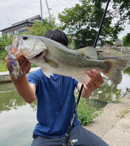 釣果